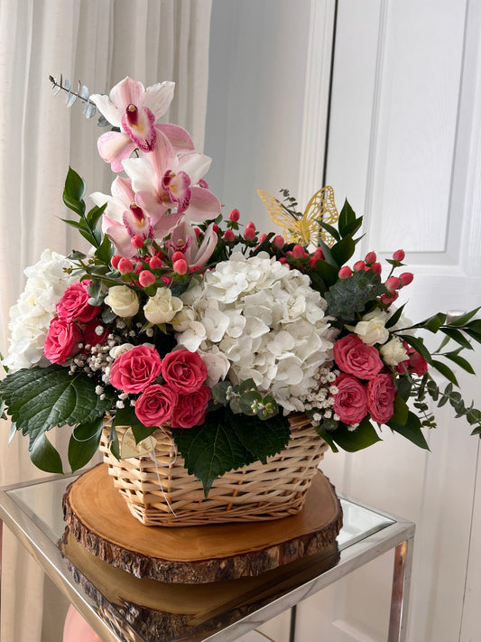 Orchid Garden Elegance Basket